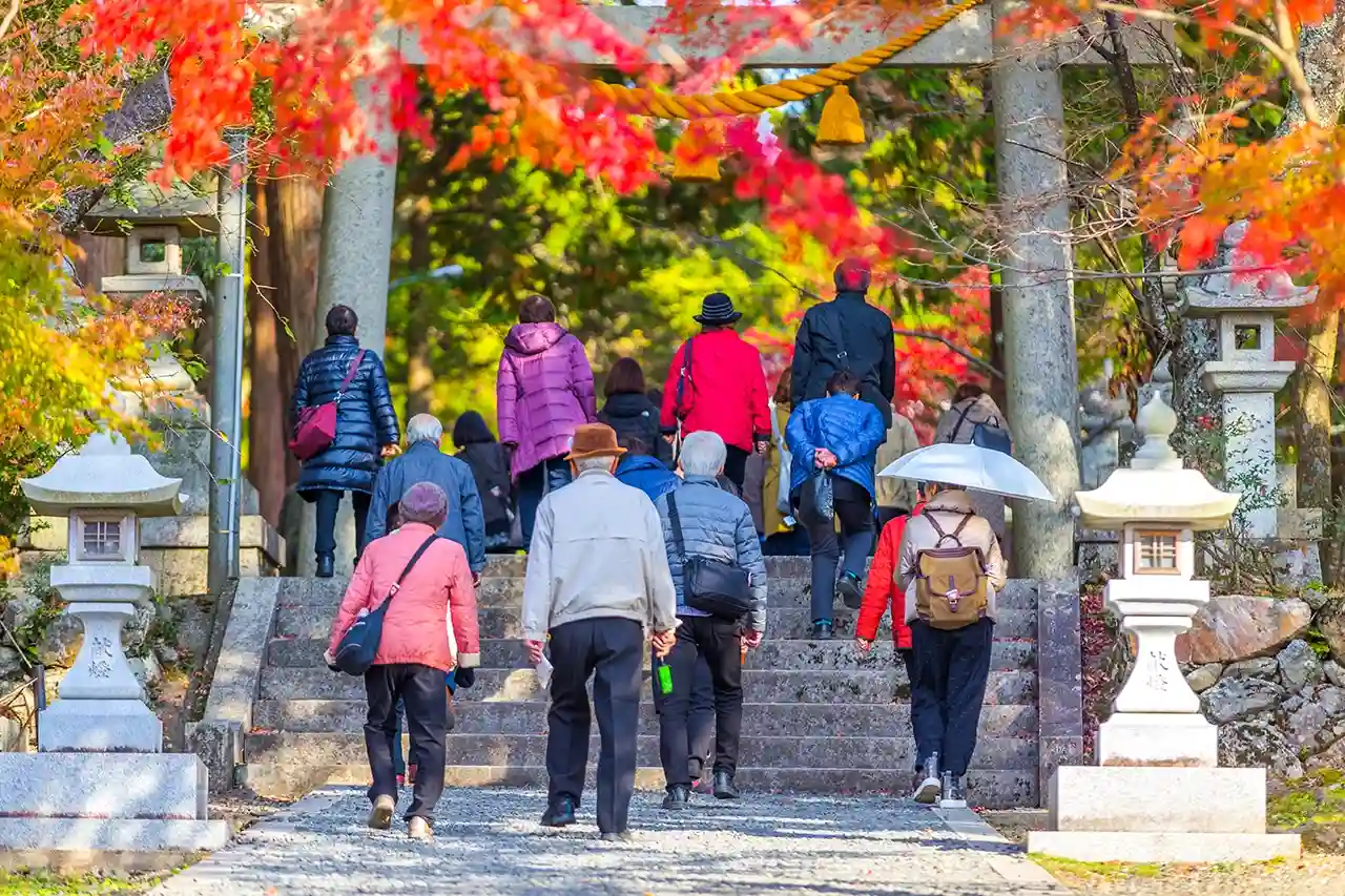 紅葉の中、階段を登る高齢者を中心とした団体旅行の様子